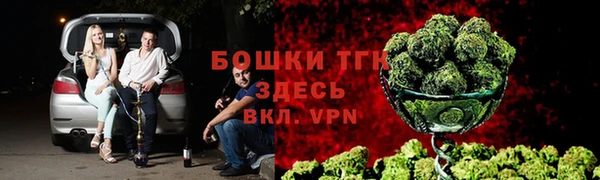 амф Гусь-Хрустальный