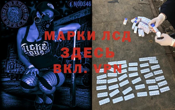 амф Гусь-Хрустальный