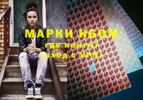 амф Гусь-Хрустальный
