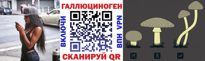 blacksprut ССЫЛКА  Псков  Галлюциногенные грибы ЛСД 